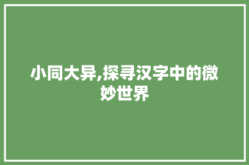 小同大异,探寻汉字中的微妙世界