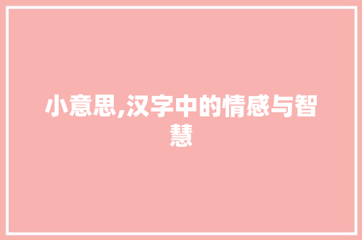 小意思,汉字中的情感与智慧