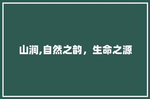 山涧,自然之韵，生命之源