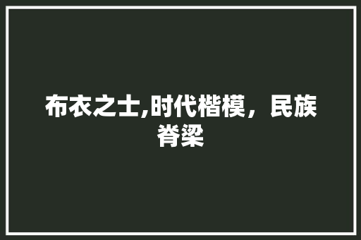 布衣之士,时代楷模，民族脊梁