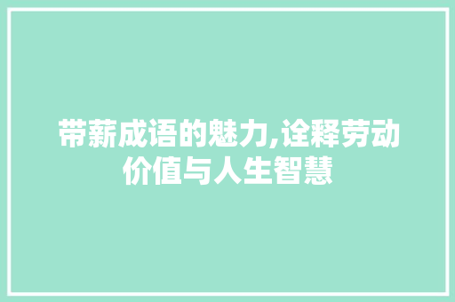 带薪成语的魅力,诠释劳动价值与人生智慧
