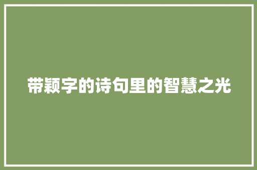 带颖字的诗句里的智慧之光