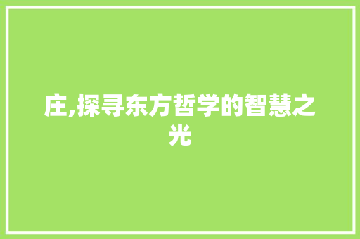 庄,探寻东方哲学的智慧之光