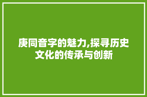 庚同音字的魅力,探寻历史文化的传承与创新