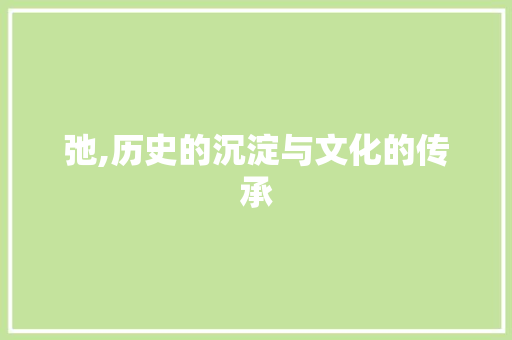 弛,历史的沉淀与文化的传承