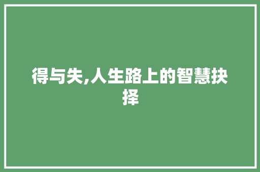 得与失,人生路上的智慧抉择