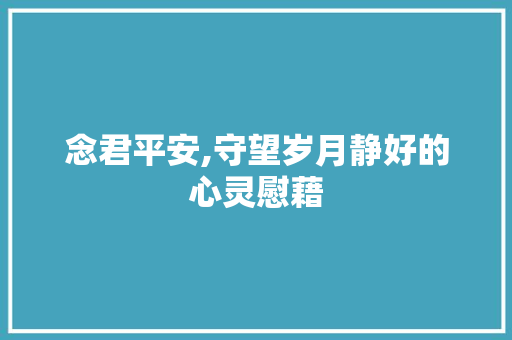 念君平安,守望岁月静好的心灵慰藉