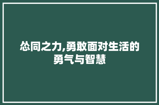 怂同之力,勇敢面对生活的勇气与智慧