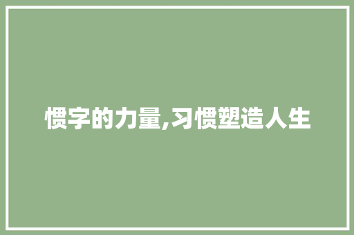 惯字的力量,习惯塑造人生