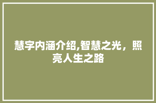 慧字内涵介绍,智慧之光，照亮人生之路 国学经典