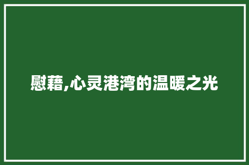 慰藉,心灵港湾的温暖之光