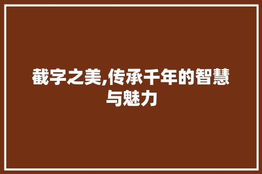 截字之美,传承千年的智慧与魅力