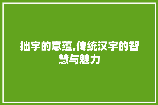 拙字的意蕴,传统汉字的智慧与魅力