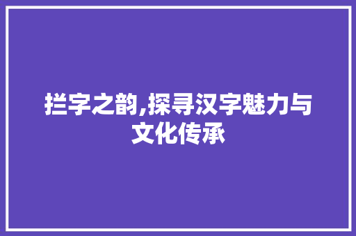 拦字之韵,探寻汉字魅力与文化传承