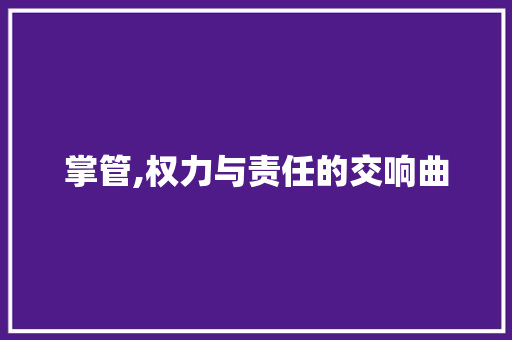 掌管,权力与责任的交响曲