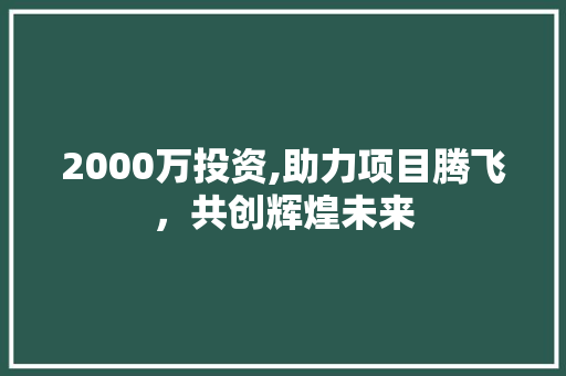 2000万投资,助力项目腾飞，共创辉煌未来