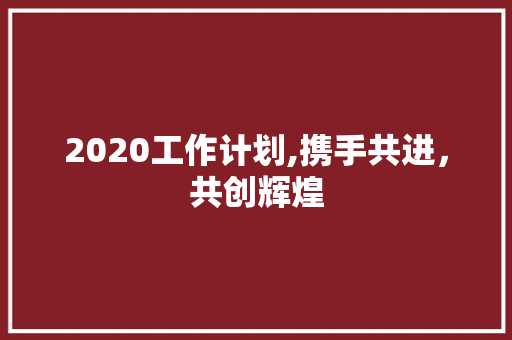 2020工作计划,携手共进，共创辉煌