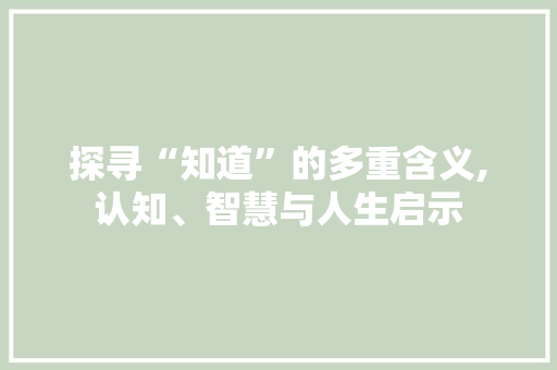 探寻“知道”的多重含义,认知、智慧与人生启示 国学经典