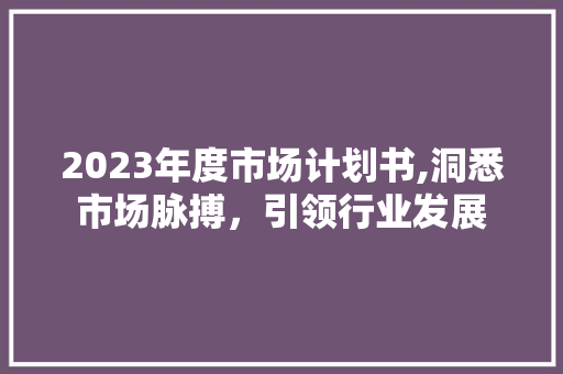 2023年度市场计划书,洞悉市场脉搏，引领行业发展