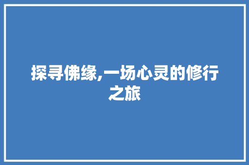 探寻佛缘,一场心灵的修行之旅 工作总结