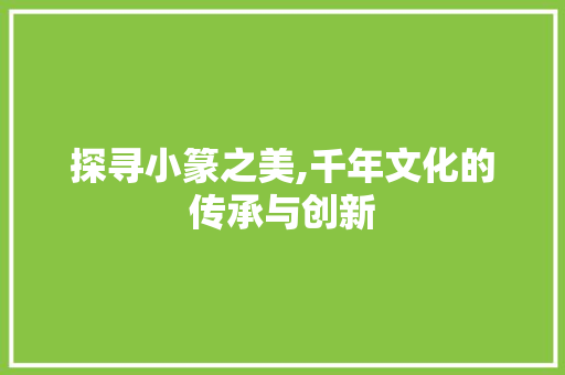 探寻小篆之美,千年文化的传承与创新