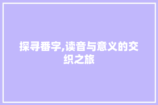 探寻番字,读音与意义的交织之旅