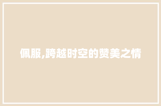 佩服,跨越时空的赞美之情 成语大全