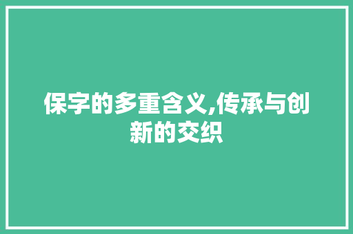 保字的多重含义,传承与创新的交织