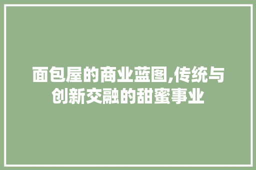 面包屋的商业蓝图,传统与创新交融的甜蜜事业
