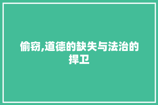 偷窃,道德的缺失与法治的捍卫 工作计划