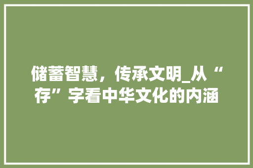 储蓄智慧，传承文明_从“存”字看中华文化的内涵