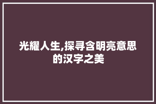 光耀人生,探寻含明亮意思的汉字之美