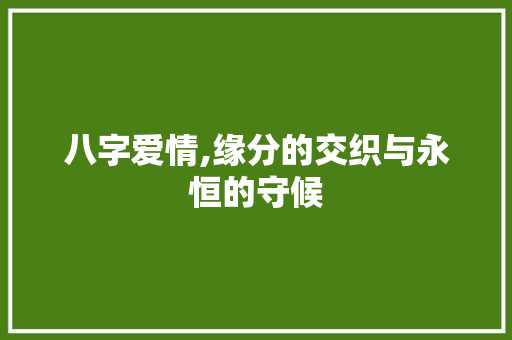 八字爱情,缘分的交织与永恒的守候