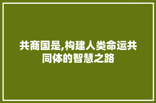 共商国是,构建人类命运共同体的智慧之路
