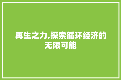 再生之力,探索循环经济的无限可能 个人简历
