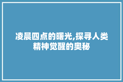 凌晨四点的曙光,探寻人类精神觉醒的奥秘 工作总结
