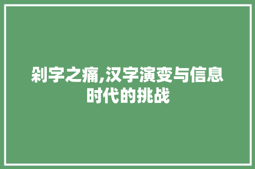 剁字之痛,汉字演变与信息时代的挑战 演讲稿