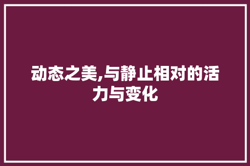 动态之美,与静止相对的活力与变化