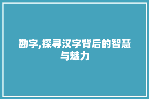 勘字,探寻汉字背后的智慧与魅力
