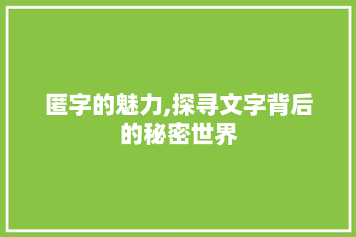 匿字的魅力,探寻文字背后的秘密世界