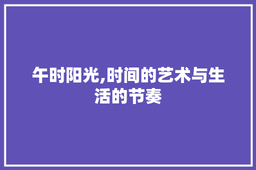 午时阳光,时间的艺术与生活的节奏