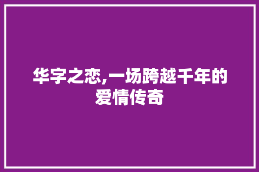 华字之恋,一场跨越千年的爱情传奇