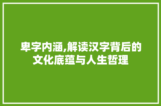 卑字内涵,解读汉字背后的文化底蕴与人生哲理