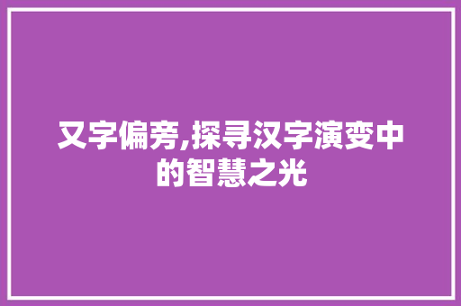 又字偏旁,探寻汉字演变中的智慧之光