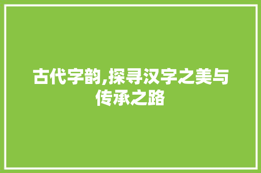 古代字韵,探寻汉字之美与传承之路 成语大全