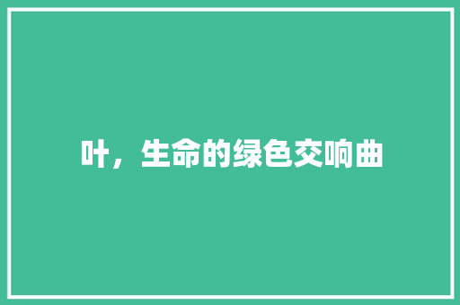 叶，生命的绿色交响曲