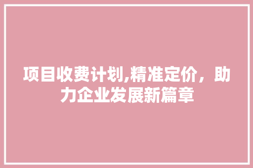 项目收费计划,精准定价，助力企业发展新篇章 个人简历