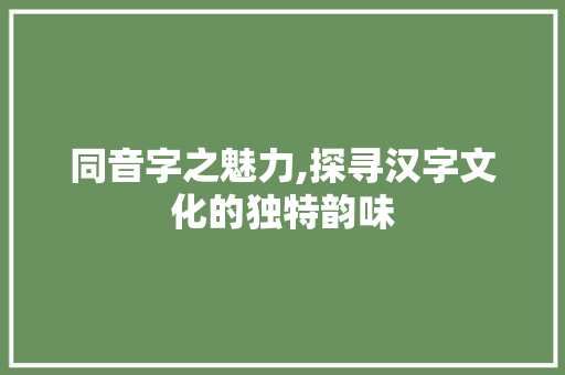 同音字之魅力,探寻汉字文化的独特韵味