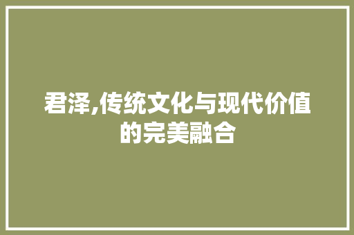 君泽,传统文化与现代价值的完美融合 工作计划