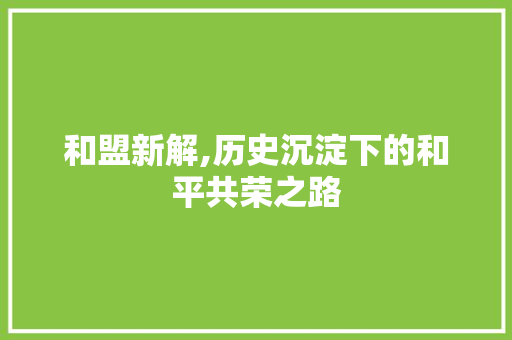 和盟新解,历史沉淀下的和平共荣之路